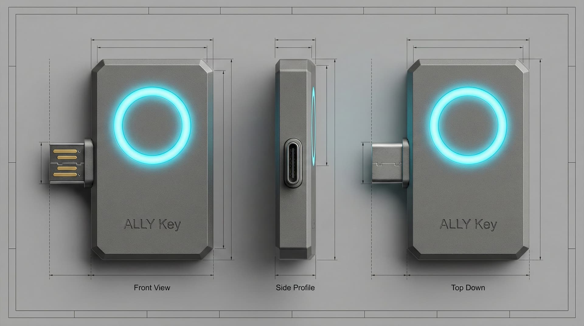 ALLY Key Visualization